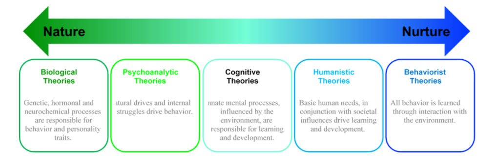 Chart of the five steps of nature versus nurture starting with biological theories, psychoanalytic theories, cognitive theories, humanistic theories, and behaviorist theories.