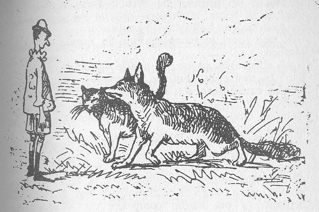 Illustration of a man standing on the left facing a cat and a fox