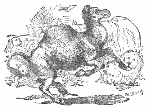 A black and white engraving from Gutenberg's version of Aesop's Fables. The image shows a camel, lion, and monkey in the background.