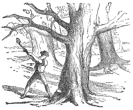 A black and white engraving from Gutenberg's version of Aesop's Fables. The image shows a male adult just about to take a swing to chop down a tree.