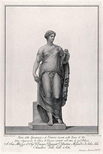 Statue engraving of Venus.