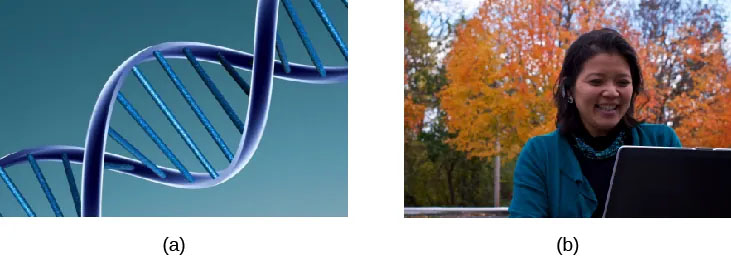 Photos show Genotype vs Phenotype