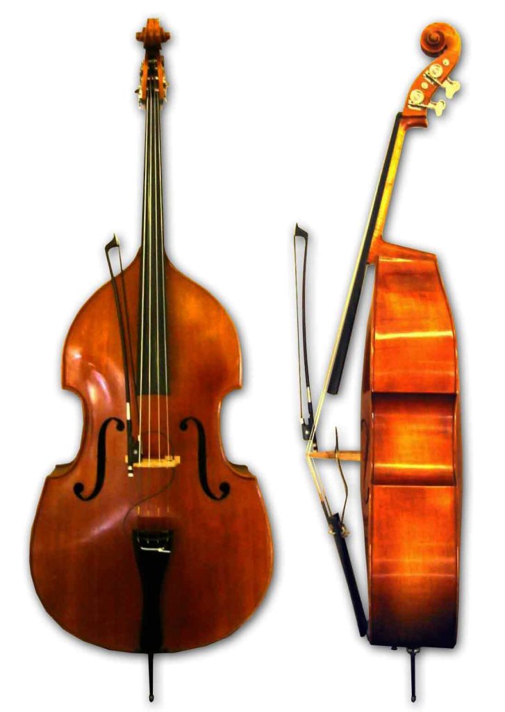 Photo of the front and side view of a bass