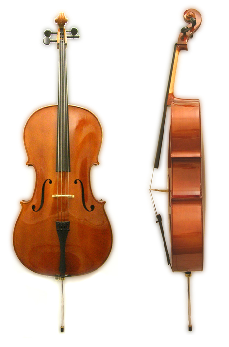 Photo of the cello front and side views.
