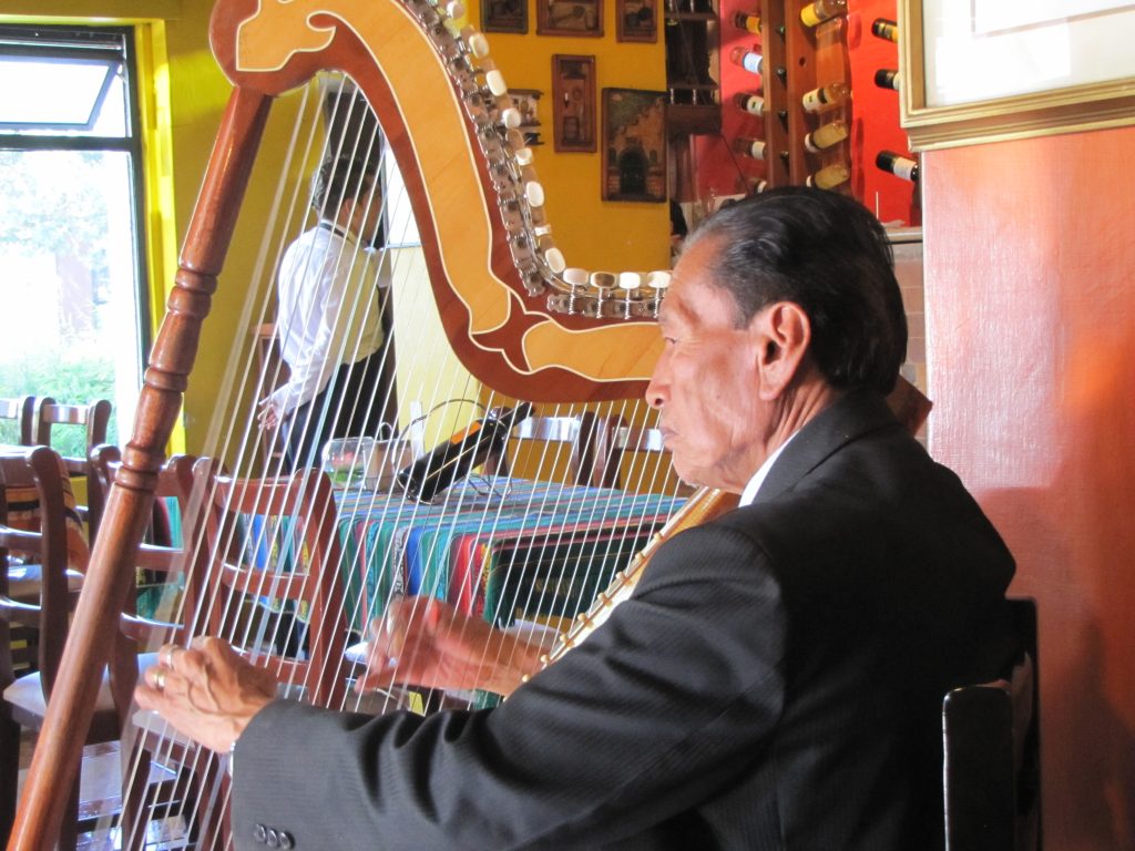 Phote of a man playing a harp