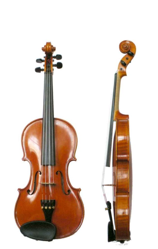 Photo of the front and side of a violin.