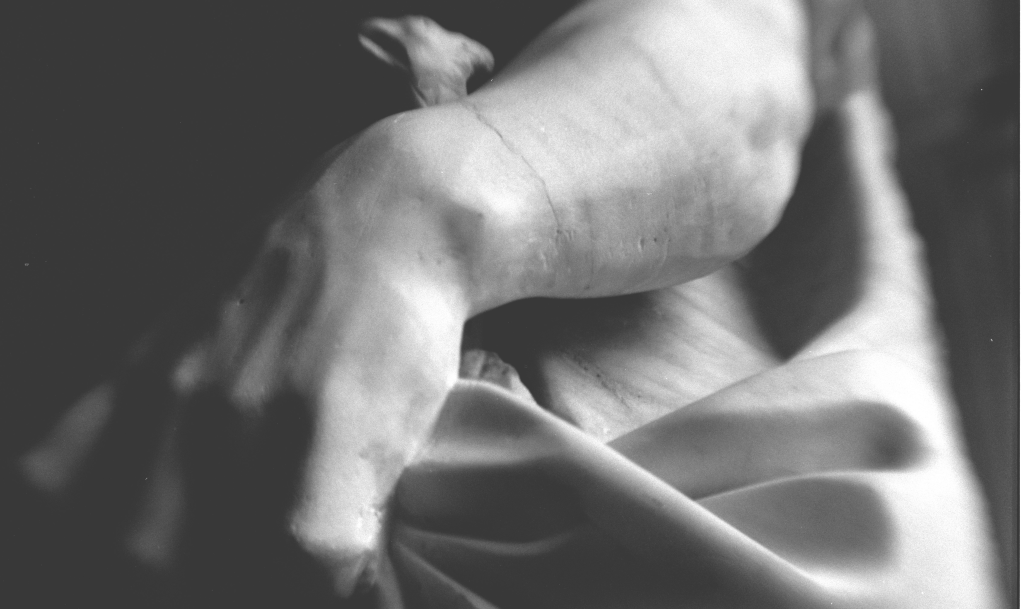 Black and white photo of the left wrist of a human statue.