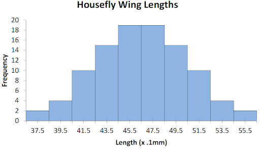 bar graph of housefly wing lengths 37.5mm = 2 houseflies 397.5mm = 4 houseflies 41.5mm = 10 houseflies 43.5mm = 15 houseflies 45.5mm = 19 houseflies 47.5mm = 19 houseflies 49.5mm = 15 houseflies 51.5mm = 10 houseflies 53.5mm = 4 houseflies 55.5mm = 2 houseflies