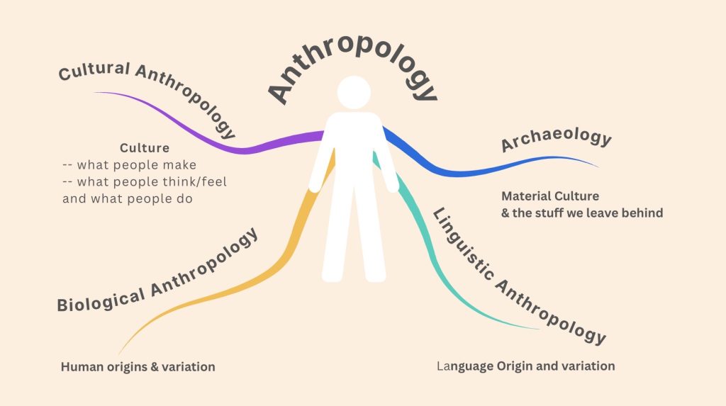 Diagram of the Anthropology subfields: Cultural Anthropology, Archaeology, Biological Anthropology, Linguistic Anthropology