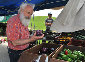 photo of author Paul McDowell