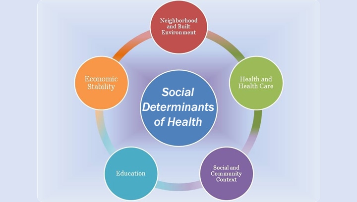 infographic of the Social Determinants of Health