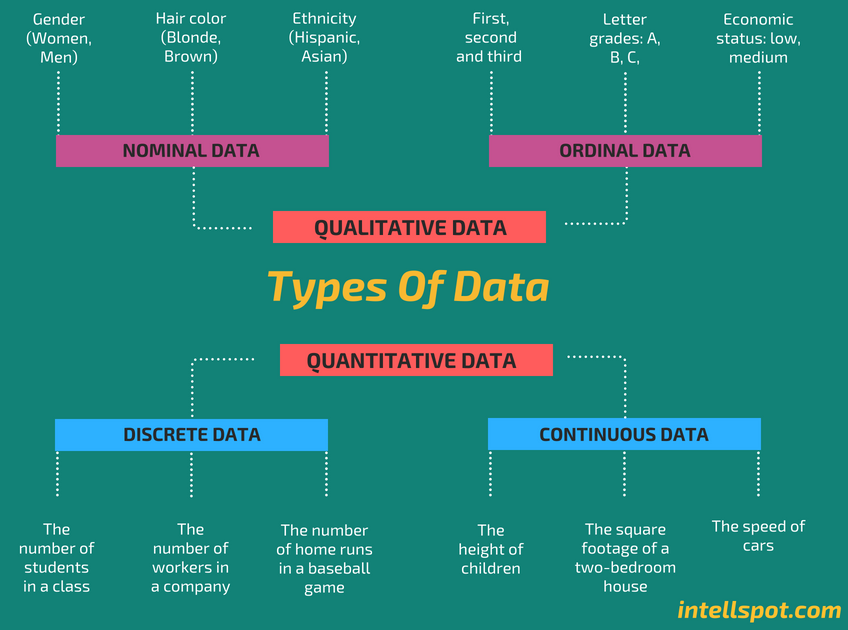 infographic of 6 Types of Data in Statistics & Research: Key in Data Science