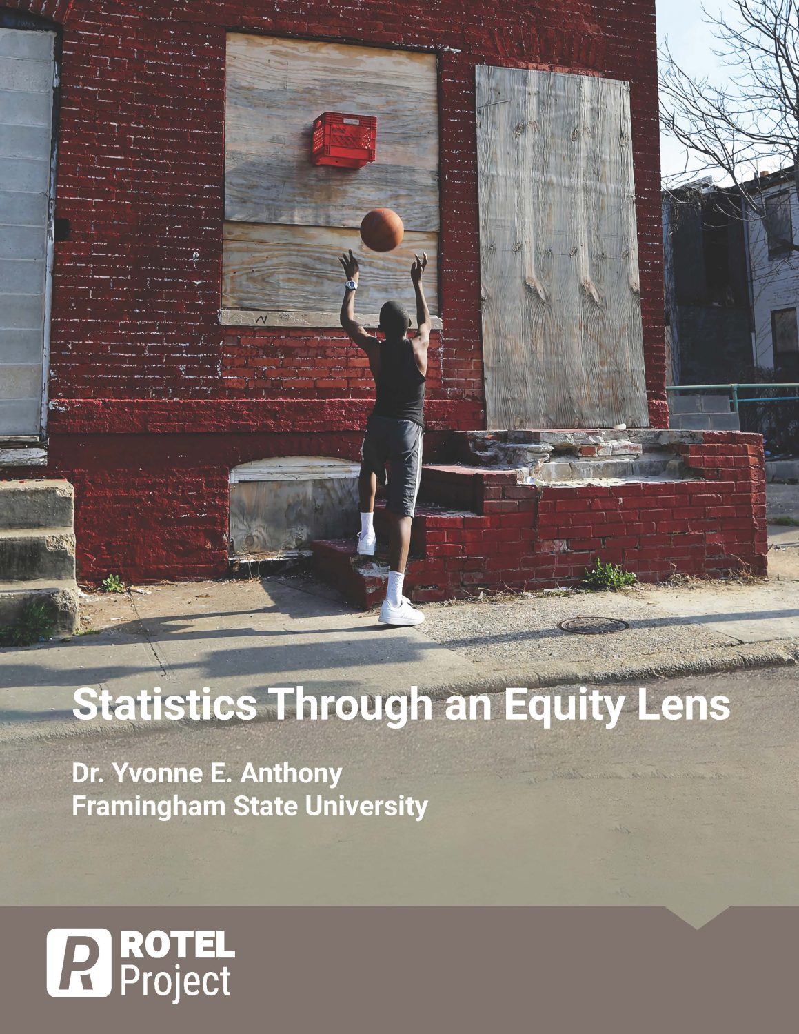 Cover image for Statistics Through an Equity Lens