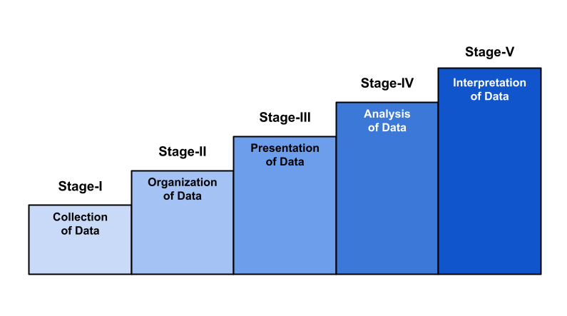Bar graph includes the 5 stages of statistical study: Stage 1 Collection of Data, Stage 2 Organization of Data, Stage 3 Presentation of Data, Stage 4 Analysis of Data, and Stage 5 Interpretation of Data.
