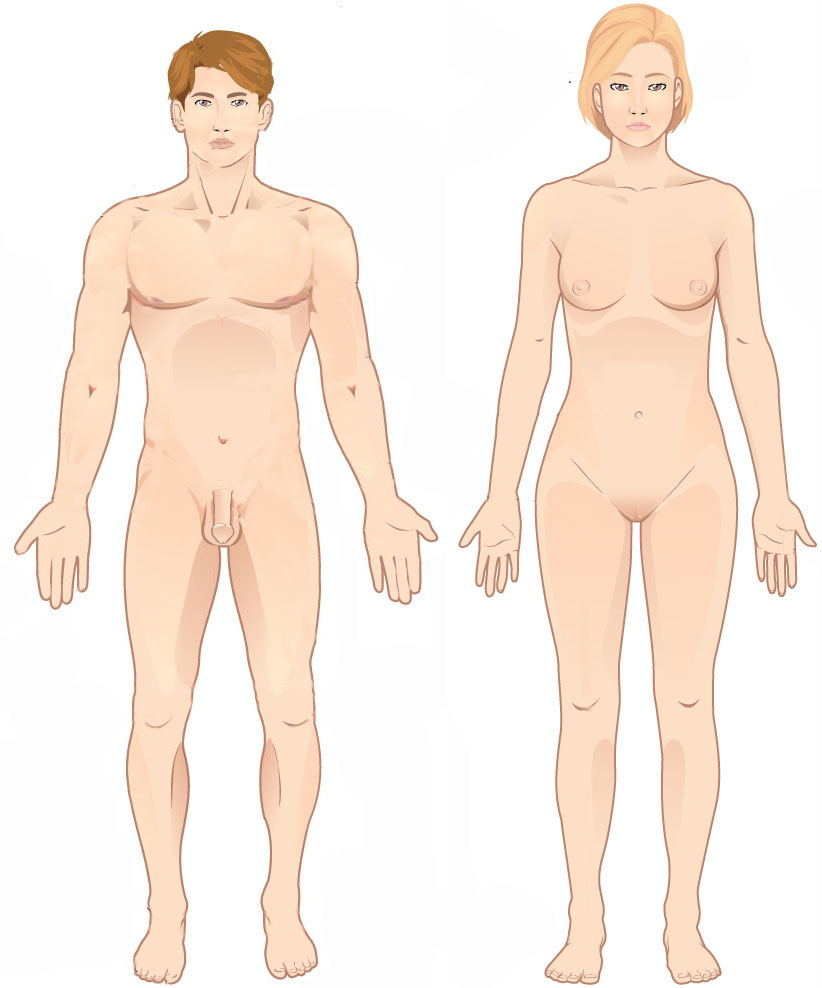 A man and a woman are shown in the anatomical position. They are standing upright, facing forward, arms and legs straight, palms facing forward, feet flat on the ground, and eyes open.