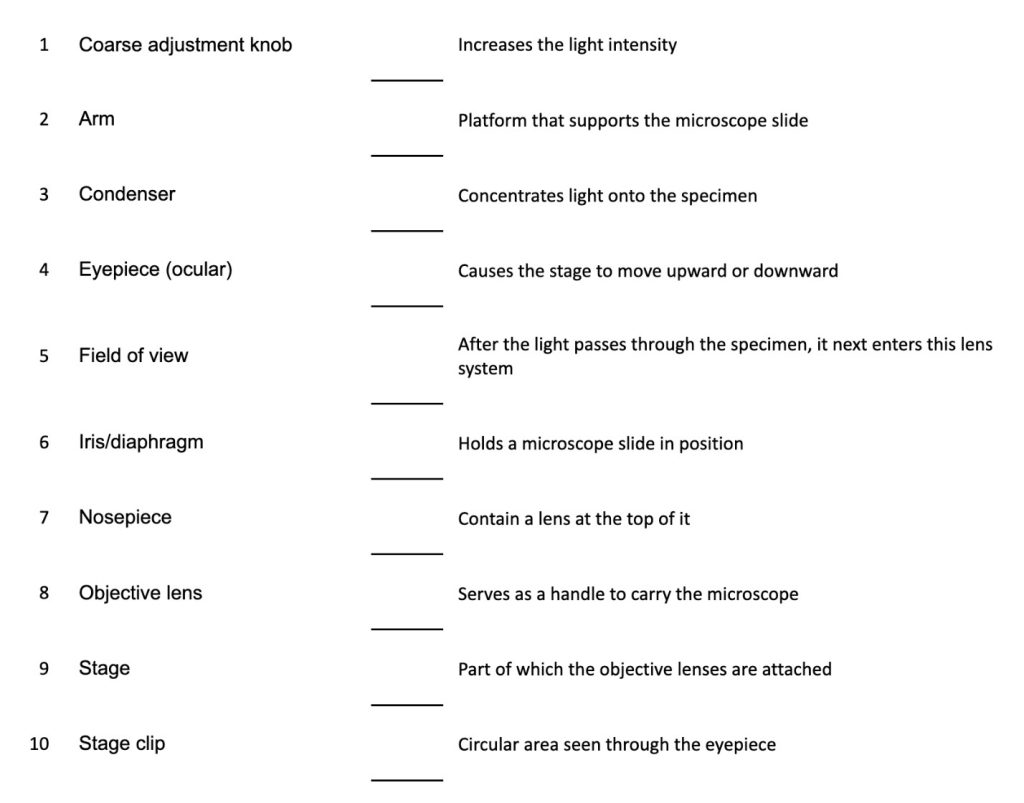 Match these names Coarse adjustment knob Arm Condenser Eyepiece (ocular) Field of view Iris/diaphragm Nosepiece Objective lens Stage Stage clip with these definitions Increases the light intensity Platform that supports the microscope slide Concentrates light onto the specimen Causes the stage to move upward or downward After the light passes through the specimen, it next enters this lens system Holds a microscope slide in position Contain a lens at the top of it Serves as a handle to carry the microscope Part of which the objective lenses are attached Circular area seen through the eyepiece