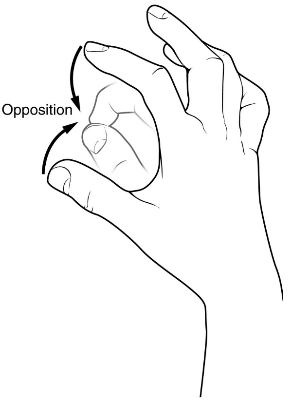 image of a right hand with index and thumb with tips touching for make sign for "opposition"