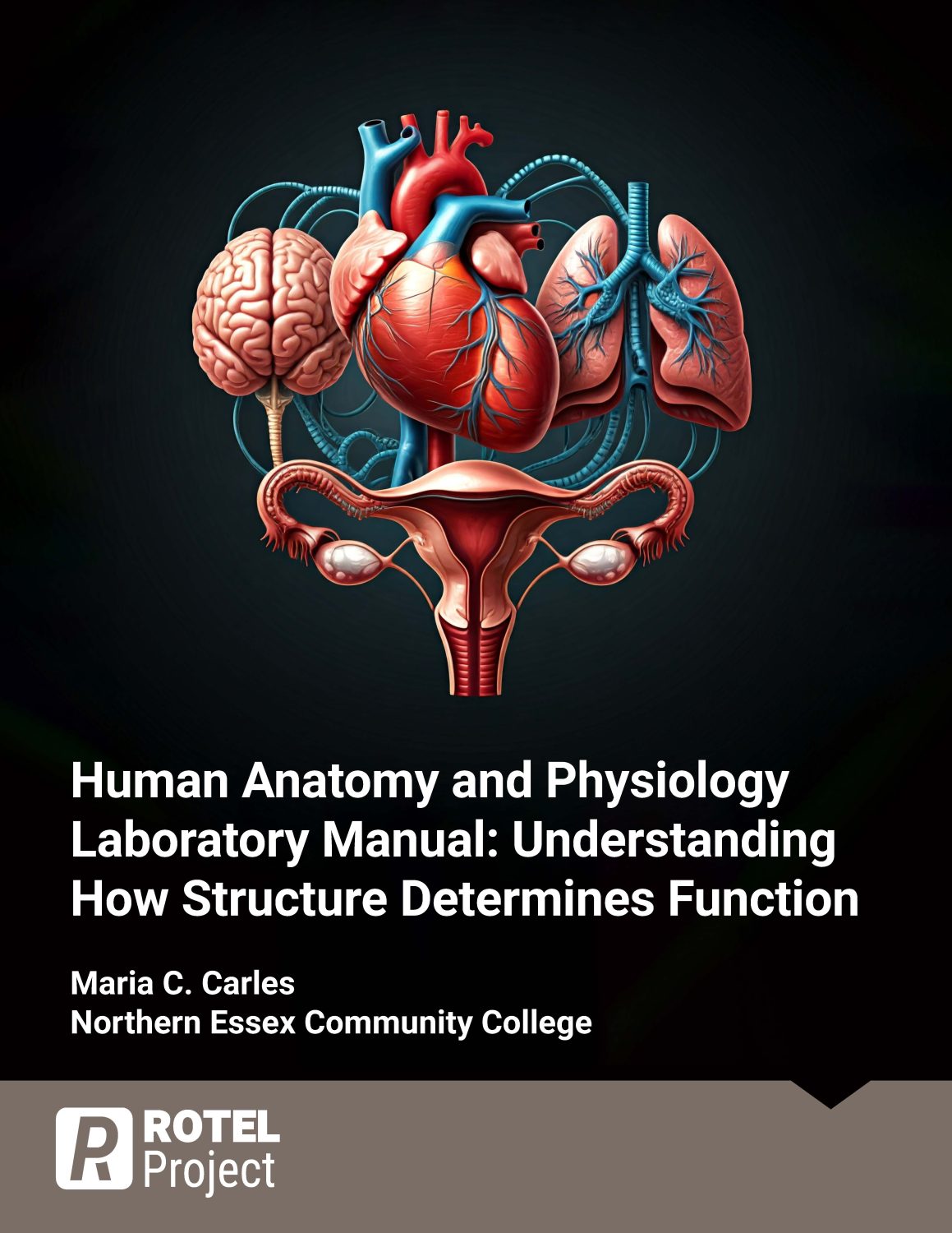 Cover image for Human Anatomy and Physiology Laboratory Manual: Understanding How Structure Determines Function