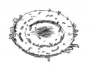 Illustration of a bird's nest