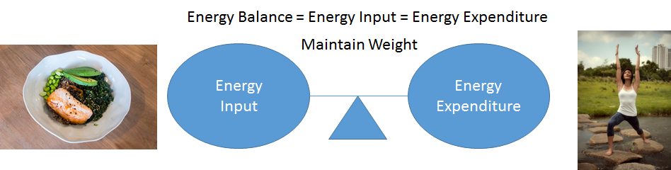 diagram of energy balance equal energy input equal energy expenditure