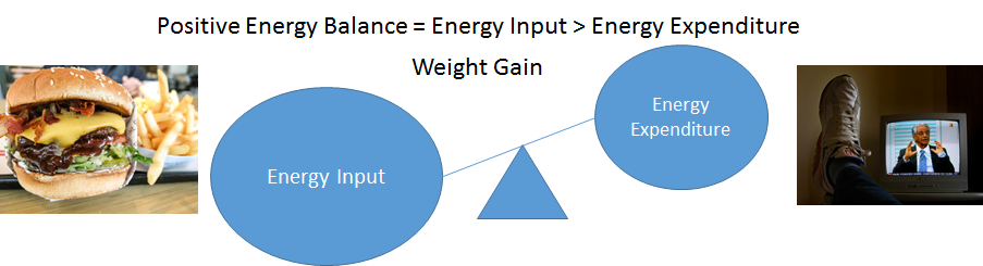 diagram of positive energy balance is energy input greater than energy expenditure