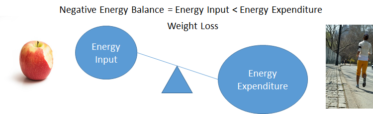 diagram of negative energy balance is energy input is less than energy expenditure