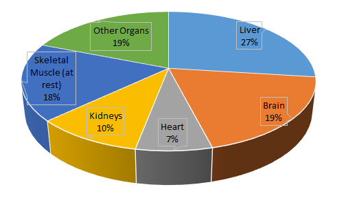 image of pie chart showing percentages of different organs receiving energy