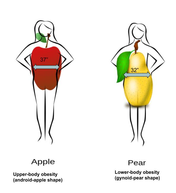 image of two different body types: apple shape and pear shape