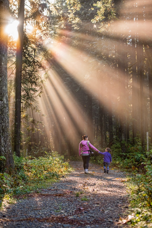 Image of mother and son holding hands in the woods with sun rays breaking through the branches