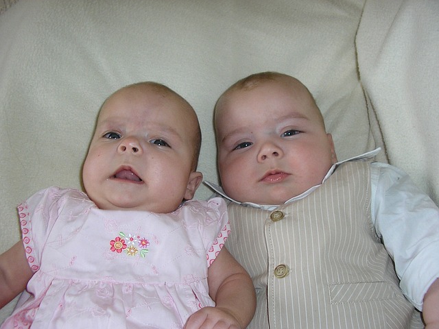 image of two baby siblings