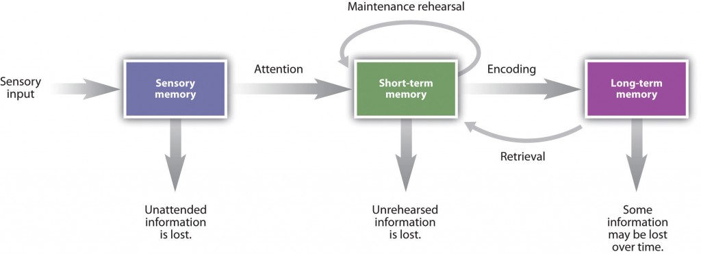 Image shows different stages of memory -- sensory, short-term, and long-term. Details in the text and caption.