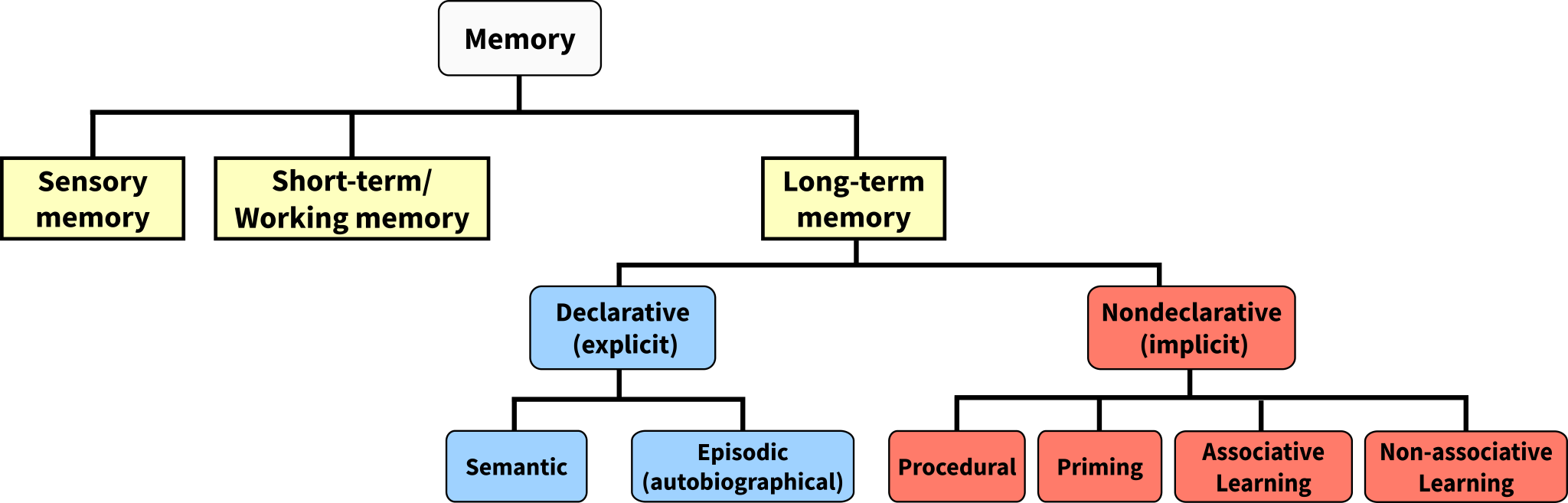 8.2: Types of Memory – Biological Psychology [Revised Edition]
