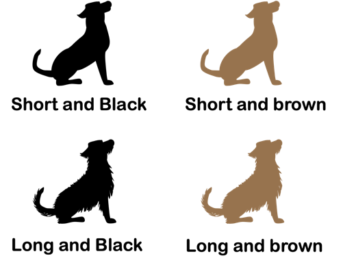 Four cartoon dogs, one with short black fur, one with short brown fur, one with long black fur, and one with long brown fur.