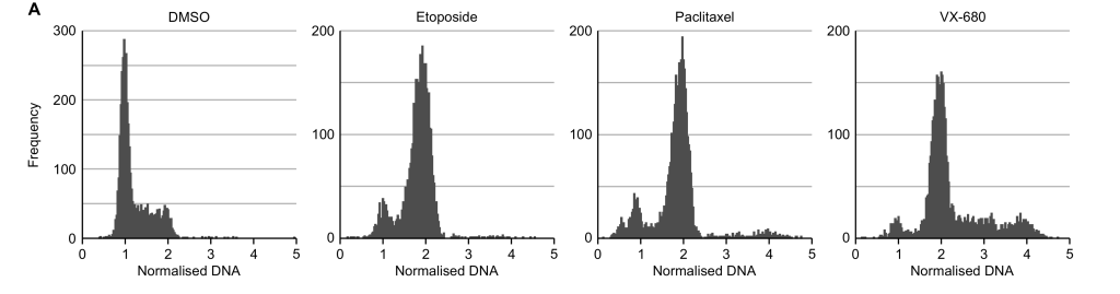 Flow cytometry data in four panels. Treatment with etoposide results in an increase in cells with 4C DNA content compared to control cells. Treatment with paclitaxel or VX-680 resultsin an increase in cells with 4C DNA content compared to control cells as well as an accumulation of cells with 8C content.