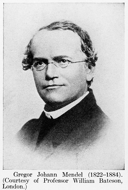 Portrait of Gregor Mendel