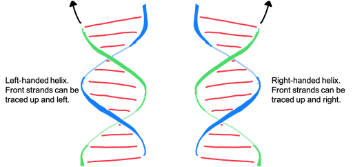 Mirror image DNA strands, showing a left-handed and right-handed helix