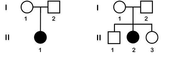 Two simple pedigrees. On the left are two parents with one child. On the right are two parents with three children.