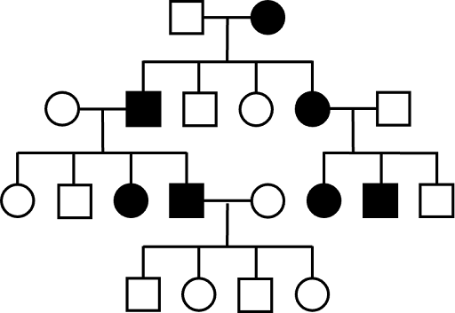 Four-generation pedigree. The mother in generation I has the trait. 2/4 children in generation II have the trait (one male, one female). 2/4 children of the affected male have the trait. 2/3 children of the affected female have the trait. An affected male in generation III has four children, none of whom have the trait.