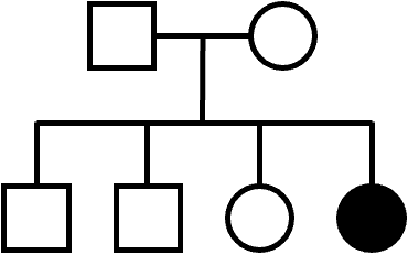 Two-generation pedigree with four children in the second generation, typical of an autosomal recessive trait. Neither parent is affected by the trait, and only one daughter is affected by the trait.