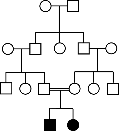 Pedigree of a family with a consanguineous relationship resulting in offspring with an autosomal recessive trait