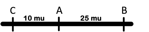 Map of a chromosome showing a linear arrangement of gene C separated from gene A by 10 map units and gene A separated from B by 25 map units.