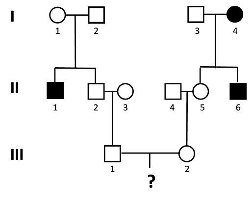 Pedigree used to calculate the probability of a child in the 4th generation having the autosomal recessive trait tracked in this family.