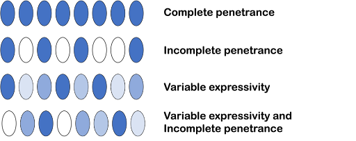 A group of blue ovals on a black background