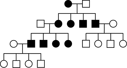 Four-generation pedigree tracking inheritance of a mitochondrial inherited trait. Children always share the phenotype of their mother.