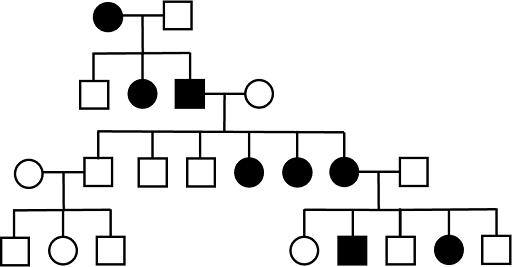 Four-generation pedigree tracking inheritance of an X-linked dominant trait. Affected individuals always have an affected parent. All daughters of an affected father have the trait, and the trait is never passed from father to son.