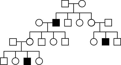 Four-generation pedigree tracking inheritance of an X-linked recessive trait. Males, who inherit an X chromosome from their mom but not their dad, are more often affected than females.