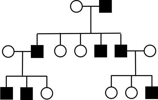 Three-generation pedigree tracking inheritance of a Y-linked trait. Trait is passed from father to son, with father and son always sharing the same phenotype.