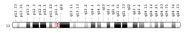 Chromosome 12 ideogram.