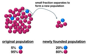 Image showing an example of Genetic Drift, Founder effect where a small fraction of a population with a variant separates to form a new population with a higher percentage of that variant because the total population is smaller.