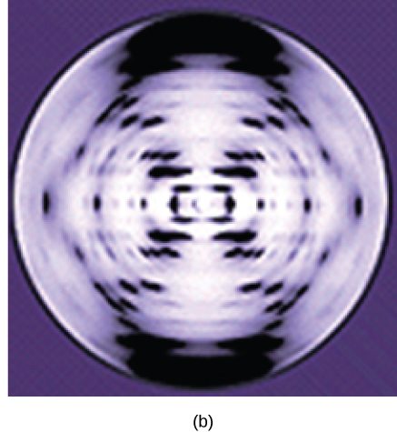 Rosalind Franklin's x-ray diffraction pattern of DNA is symmetrical, with dots in an x-shape characteristic of a helical structure.